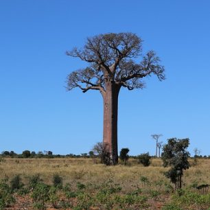 Madagascar